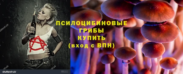 дмт Балахна