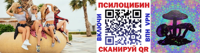купить наркотик Собинка Псилоцибиновые грибы прущие грибы